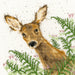 Wrendale Designs - Doe a Deer